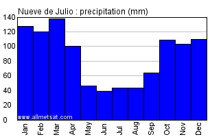 Nueve de Julio Argentina Annual Precipitation Graph